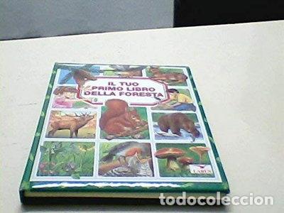 Libri di seconda mano: Il tuo primo libro della foresta- 9788877471512