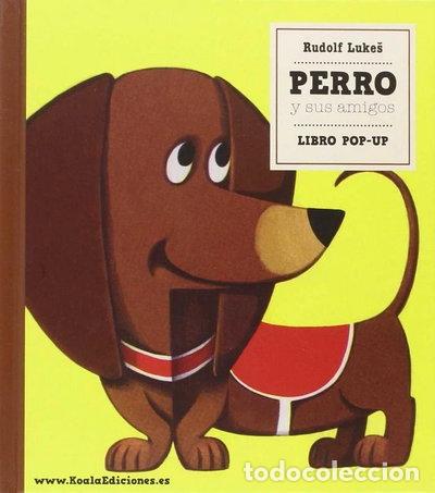 B&uuml;cher: Perro y sus amigos- 9788494522734
