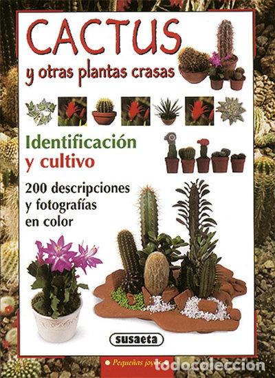 Libri di seconda mano: Cactus y otras plantas crasas- 9788430595723