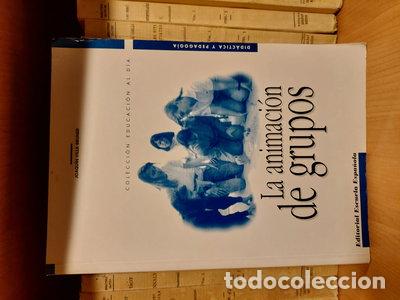 Livres: La animaci&oacute;n de grupos- 9788433108364