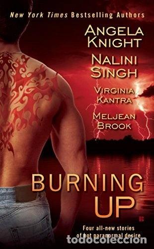 Libros: Burning Up- 9780425235959