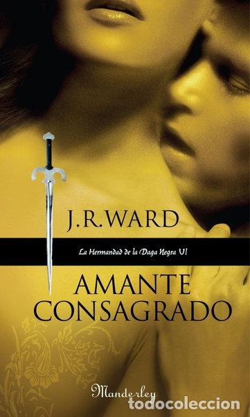 B&uuml;cher: Amante consagrado- 9788483651667