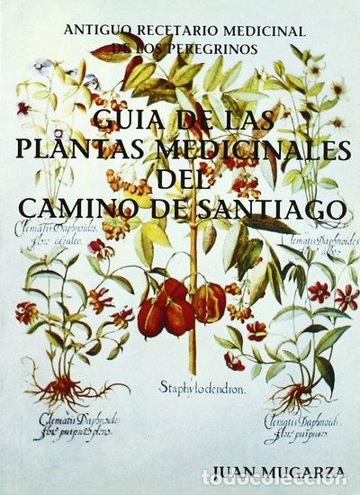 Libri di seconda mano: Gu&iacute;a de las plantas medicinales del Camino de Santiago- 9788460462170