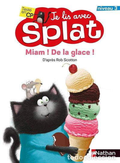 books: Miam ! De la glace !- 9782092589342