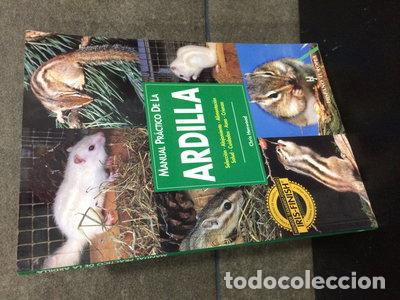 Libri di seconda mano: Manual pr&aacute;ctico de la ardilla- 9788425513916