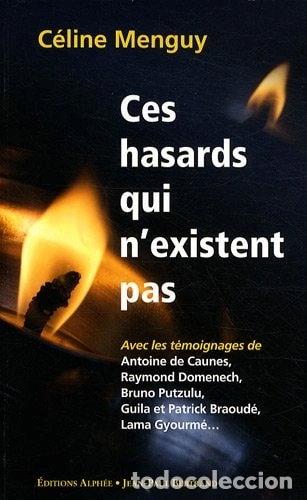 Livros em segunda m&atilde;o: Ces hasards qui n'existent pas: Synchronicit&eacute; ou magie ordinaire- 9782753804593