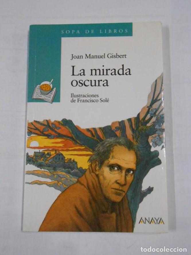 Libros: LA MIRADA OSCURA. JOAN MANUEL GISBERT. SOPA DE LIBROS N&ordm; 6. ANAYA. TDK15 -