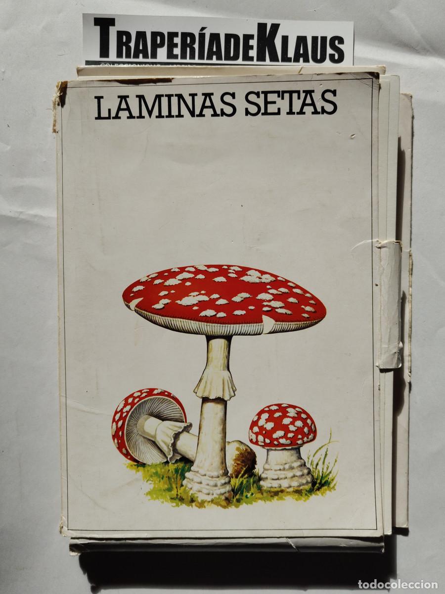 Libros: L&Aacute;MINAS SETAS / HONGOS / CARPETA COMPLETA 50 FICHAS / LABORATORIOS EMYFAR - tdk469 -