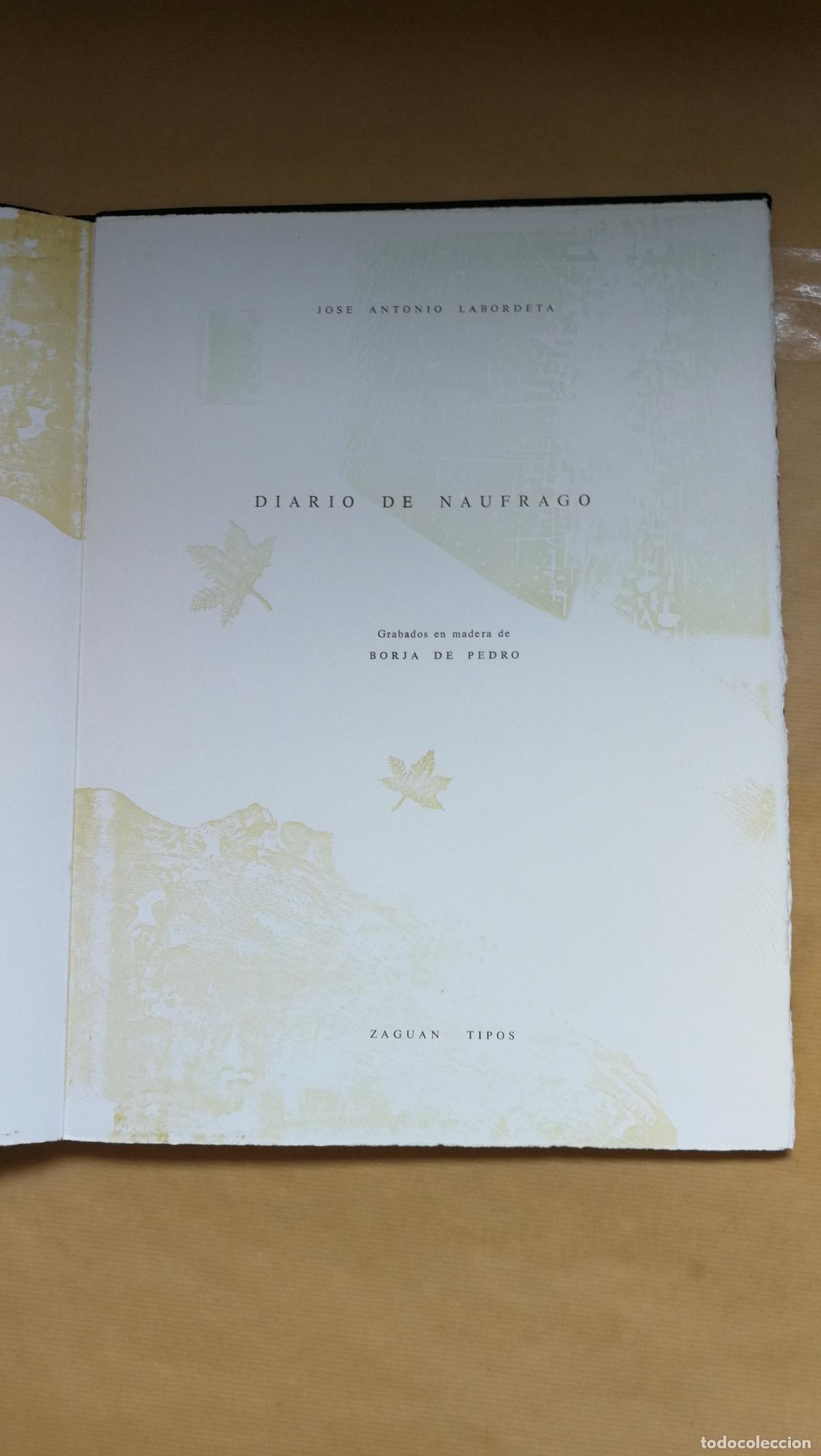 books: Diario de n&aacute;ufrago - Jos&eacute; Antonio Labordeta/Borja de Pedro.