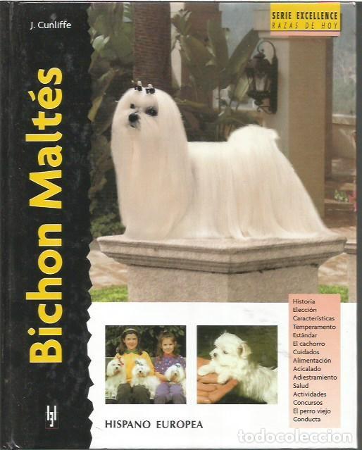 Libros: BICHON MALTES J CUNLIFE HISPANO EUROPEA