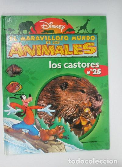 Libros: El maravilloso mundo de los animales: Los castores- 9788439579472