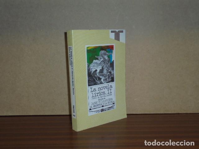 Livres: LA NOVELA L&Iacute;RICA II - Ram&oacute;n P&eacute;rez de Ayala - Benjam&iacute;n Jarn&eacute;s - VV. AA. - Edici&oacute;n de Dar&iacute;o Villanueva