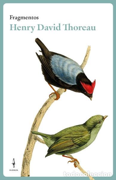Livros em segunda m&atilde;o: FRAGMENTOS HENRY DAVID THOREAU- 9788409582594