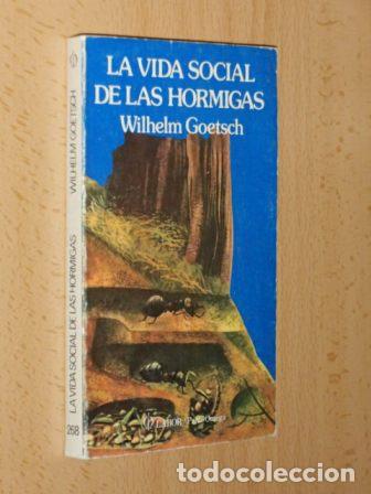 Libri di seconda mano: LA VIDA SOCIAL DE LAS HORMIGAS - Goetsch, Wilhelm