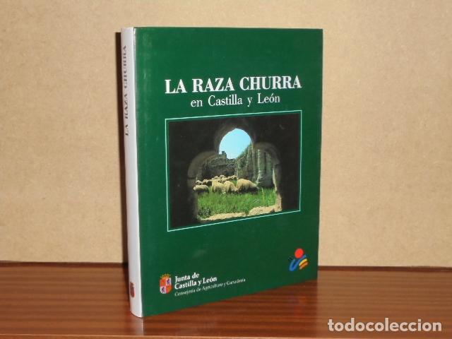 B&uuml;cher: LA RAZA CHURRA EN CASTILLA Y LE&Oacute;N - VV. AA.