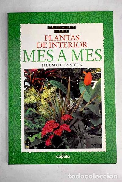 Libri di seconda mano: Cuidados para plantas de interior mes a mes- 9788432919619