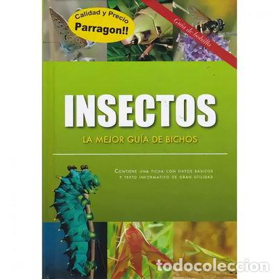 Libros: Insectos: La mejor gu&iacute;a de bichos- 9781445453309