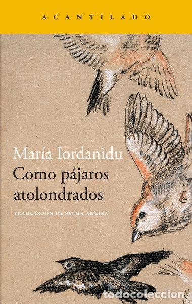 Libros: Como p&aacute;jaros atolondrados- 9788419036704