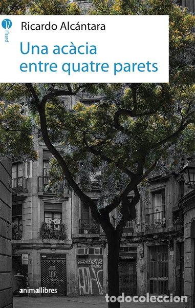 Libros: Una ac&agrave;cia entre quatre parets- 9788417599010