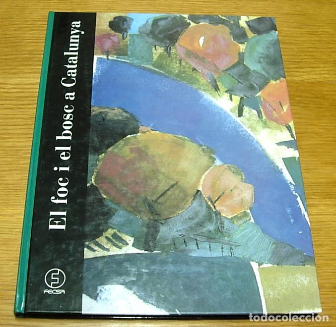 Libros: Libro EL FOC I EL BOSC A CATALUNYA 1&ordf; Edici&oacute;n 1996 FECSA en Catal&aacute;n
