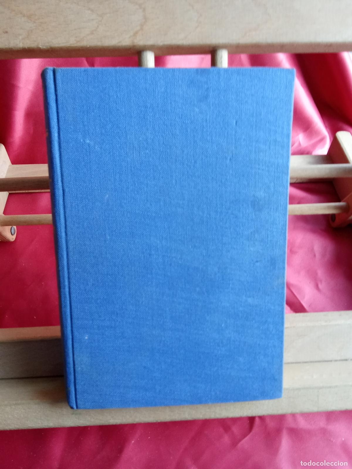 Libros: Un sexo llamado d&eacute;bil. Jos&eacute; Luis Mart&iacute;n Vigil L.4898-2640