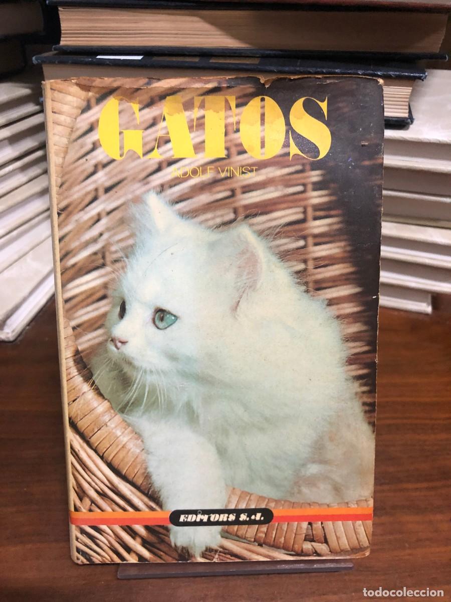 Libros: Gatos - Adolf Vinist