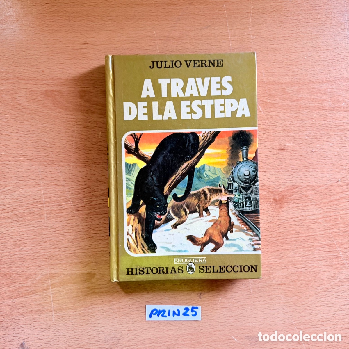 Libros: Libro a trav&eacute;s de la estepa