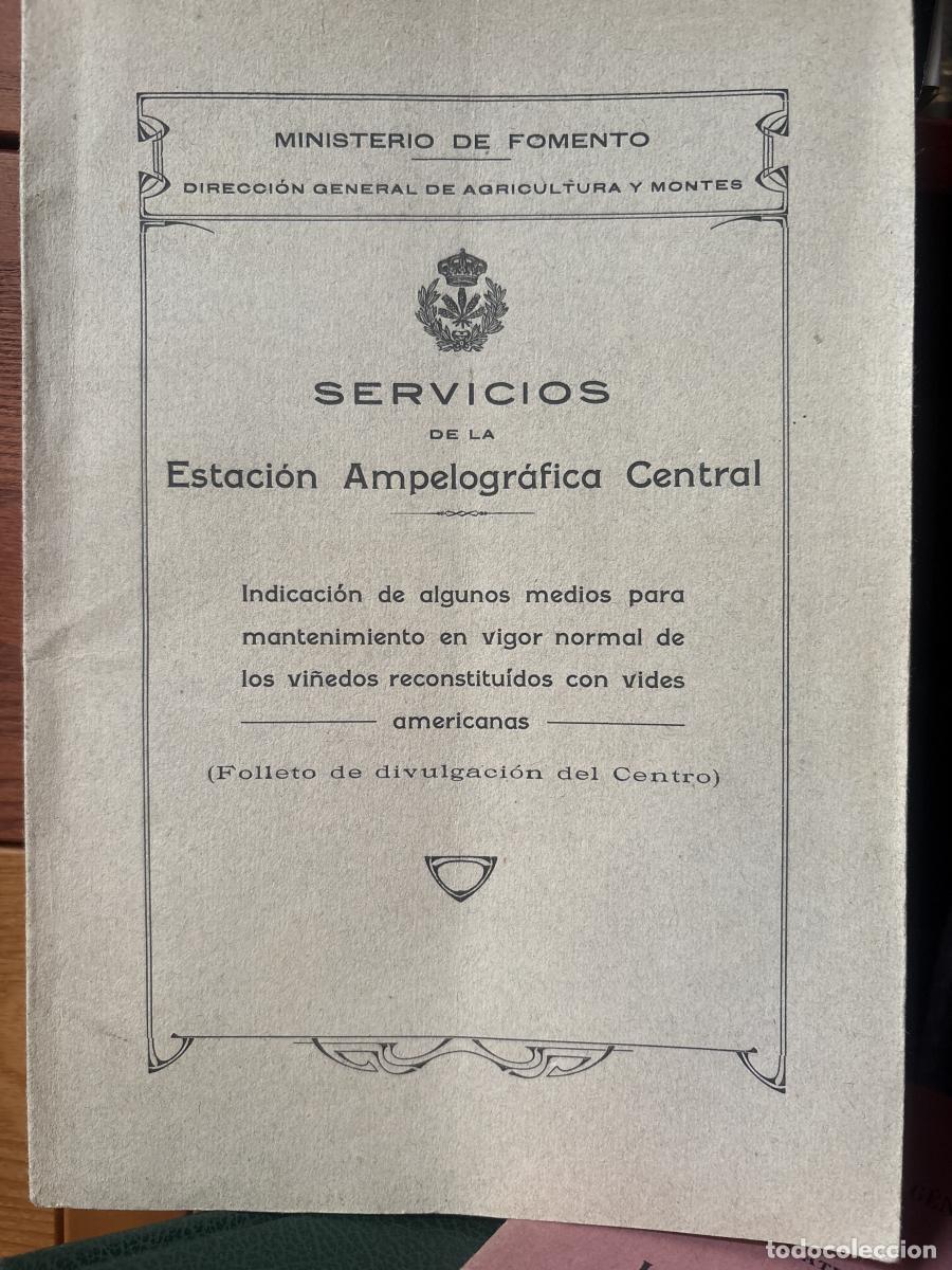 Libros: SERVICIOS DE LA ESTACION AMPELOGRAFICA CENTRAL (FOLLETO) - TDK360