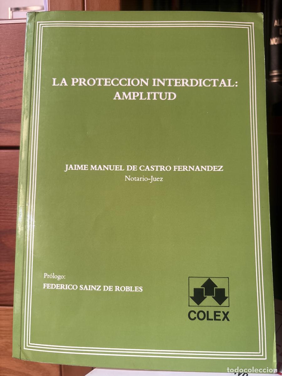 Libros: La protecci&oacute;n interdictal: AMPLITUD - Jaime Manuel de Castro Fern&aacute;ndez TDK360