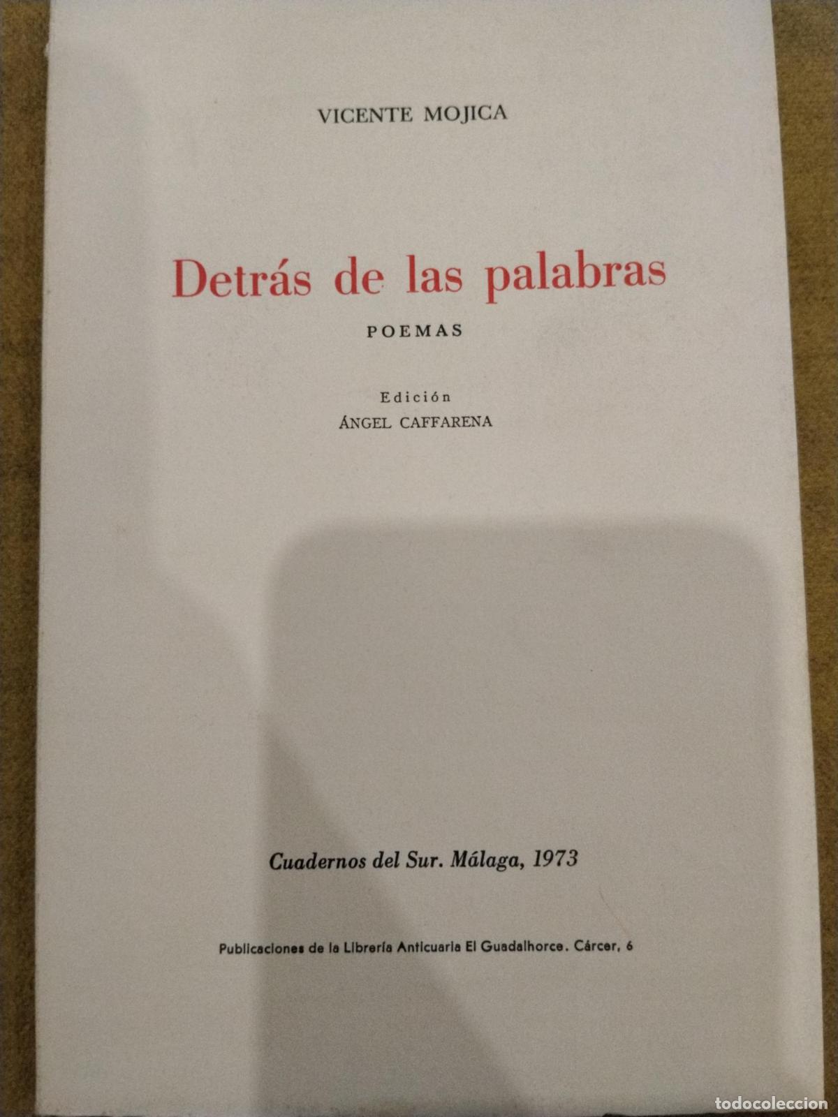 Libros: Detr&aacute;s de las palabras. Poemas - Vicente Mojica