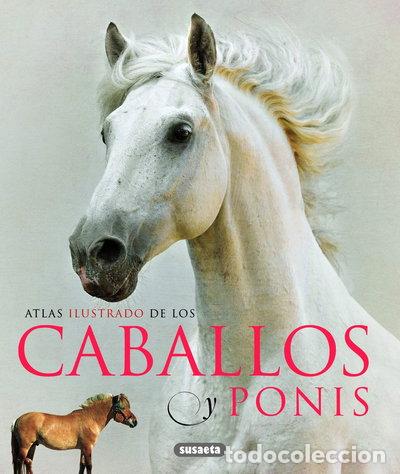 Libros: Caballos y ponis- 9788467713053