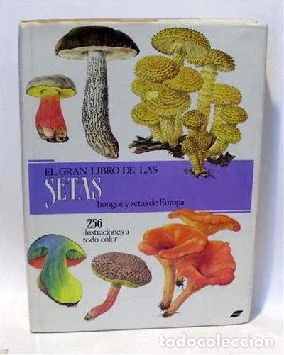 Livres: El Gran Libro de las Setas- 9788430516247