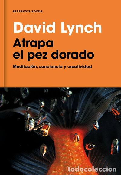 B&uuml;cher: Atrapa el pez dorado- 9788416709014
