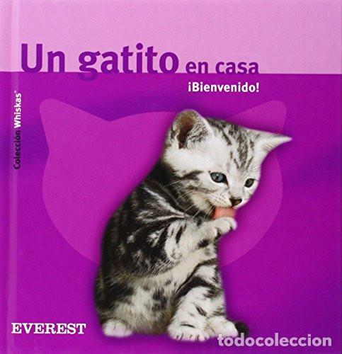 B&uuml;cher: GATITO EN CASA BIENVENI-WHISKA - Ludwig Gerd
