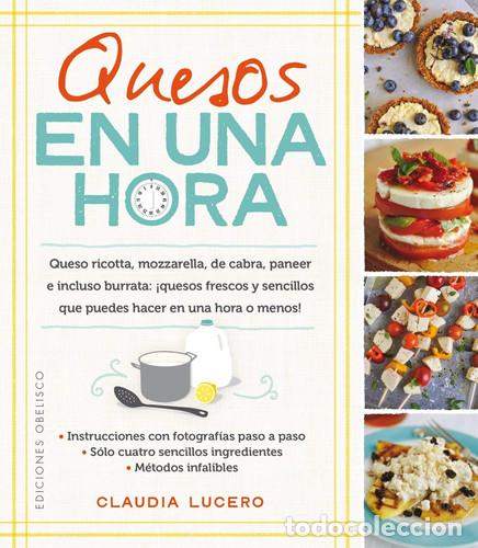 Libri di seconda mano: QUESOS EN UNA HORA - LUCERO