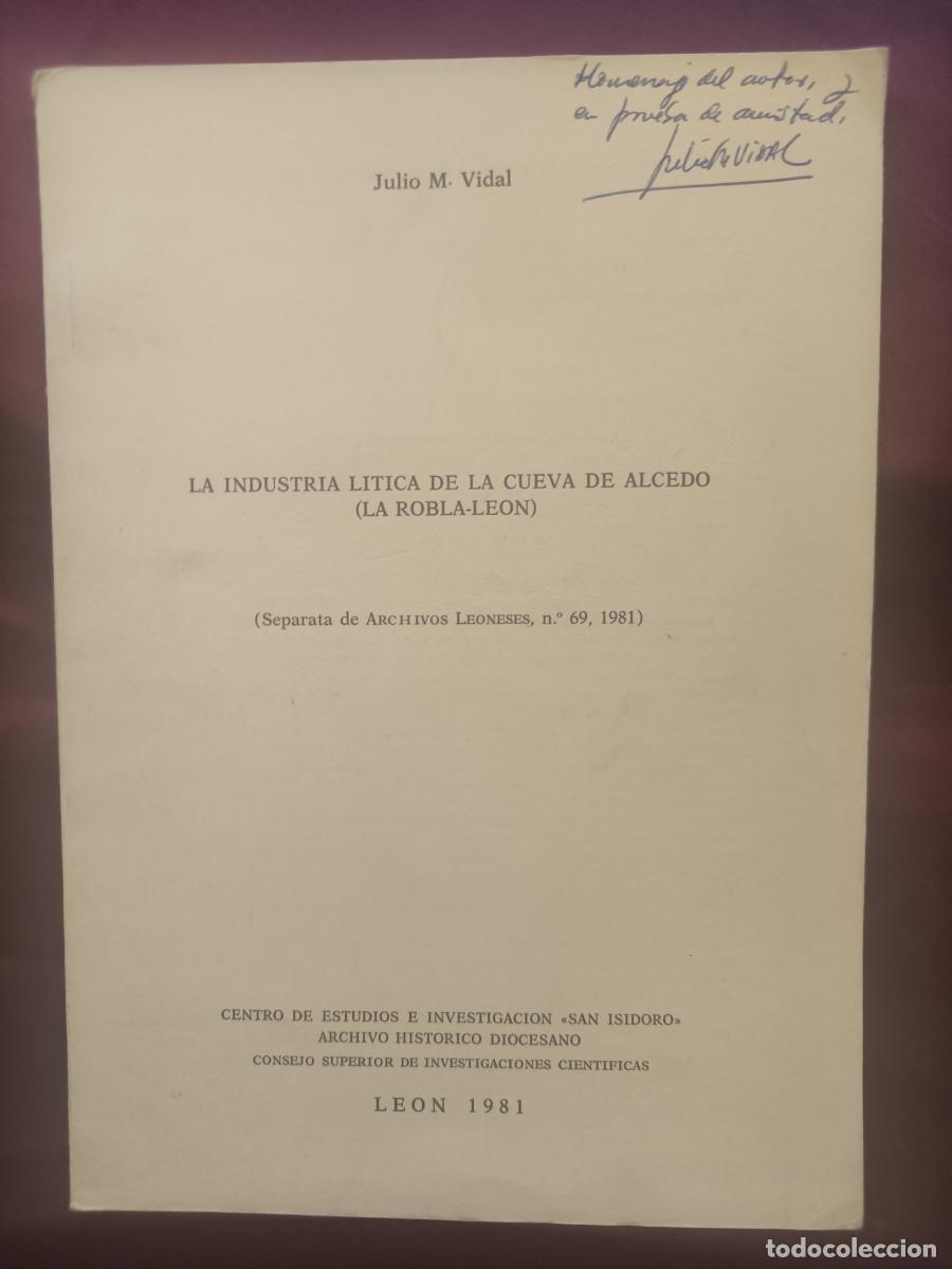 Libros: La industria l&iacute;tica de la Cueva de Alcedo (La Robla - Le&oacute;n). - Julio Manuel Vidal Encinas