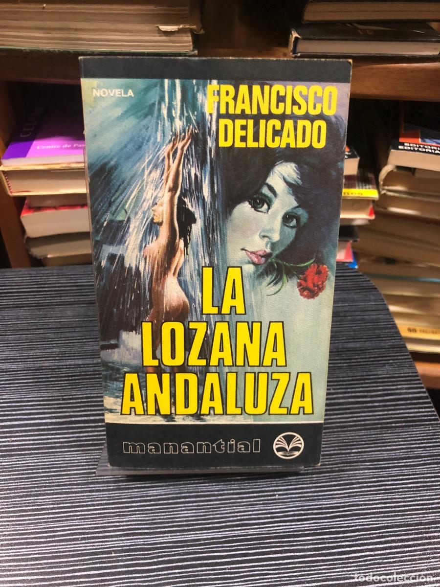 Libri di seconda mano: La Lozana Andaluza Francisco Delicado