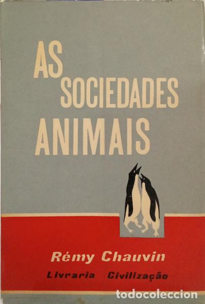 Libri di seconda mano: CHAUVIN. (R&eacute;my) - AS SOCIEDADES ANIMAIS.