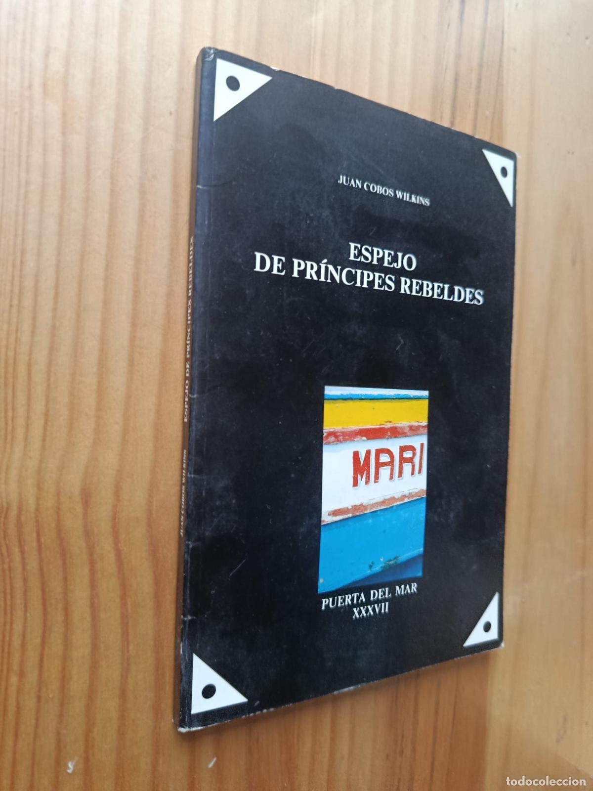 Libros: Espejo de pr&iacute;ncipes rebeldes - COBOS WILKINS, Juan