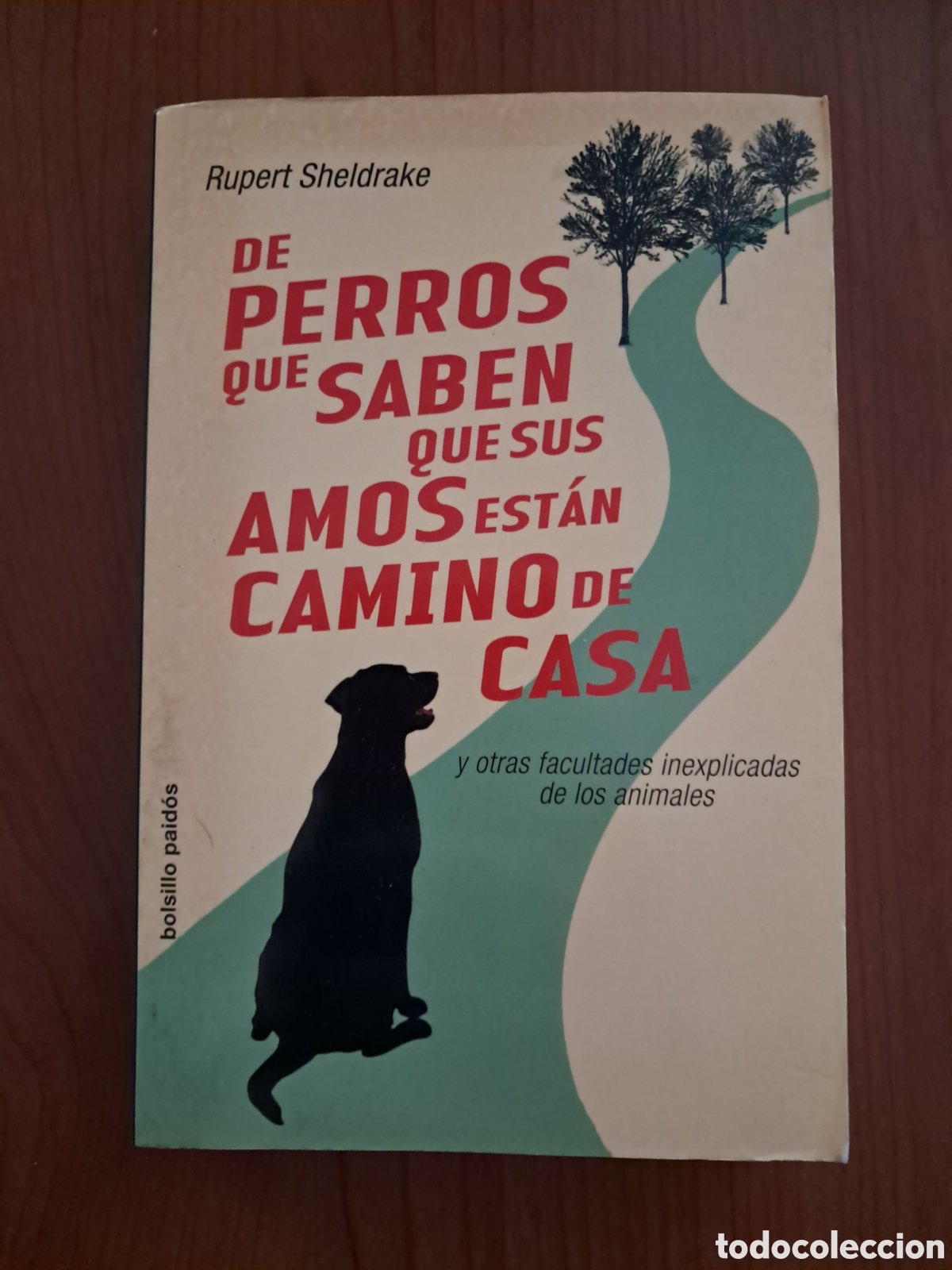 Libros: De perros que saben que sus amos est&aacute;n camino de casa