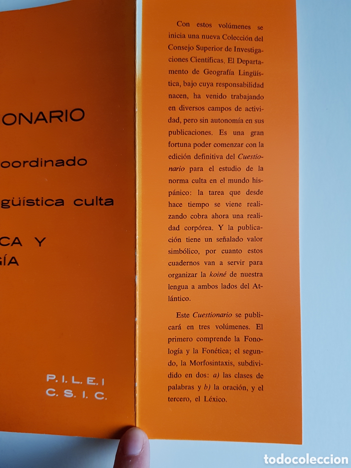 Libros: CSIC ESTUDIO NORMA LING&Uuml;&Iacute;STICA CULYA - Foto 3