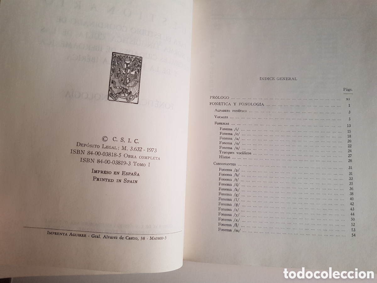 Libros: CSIC ESTUDIO NORMA LING&Uuml;&Iacute;STICA CULYA - Foto 10