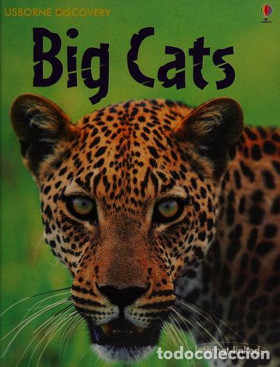 books: Big Cats- 9780746096437