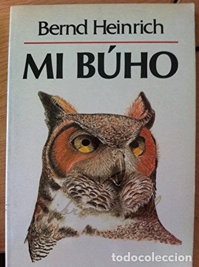 books: Mi b&uacute;ho- 9788433550989