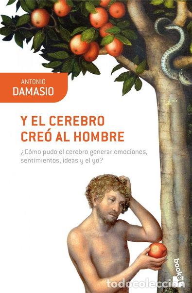 Libros: Y el cerebro cre&oacute; al hombre- 9788423322169