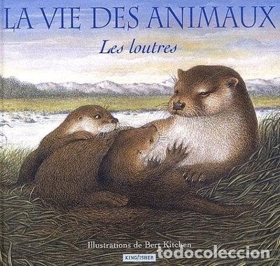 Livros em segunda m&atilde;o: Les loutres- 9780753420089