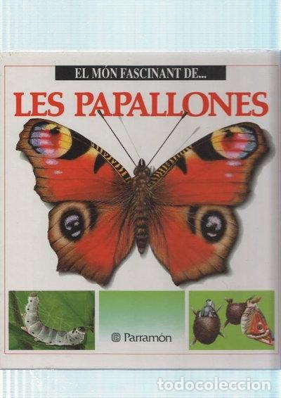 Libri di seconda mano: El m&oacute;n fascinant de les papallones- 9788434212299