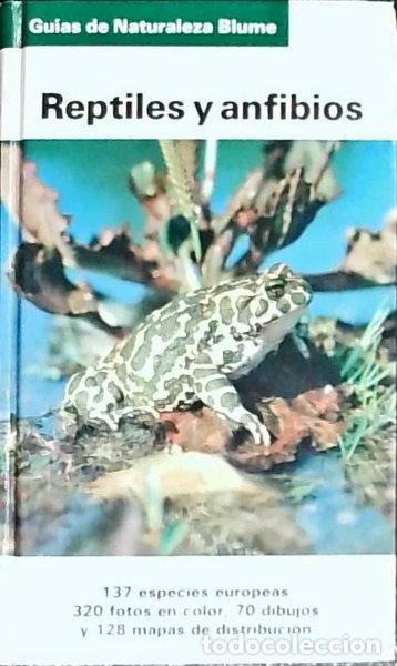 Libros: Reptiles y anfibios- 9788422637516