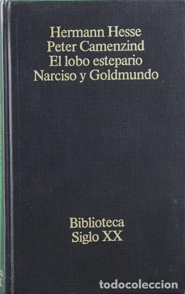 Libros: Peter Camenzind- 9788474541038