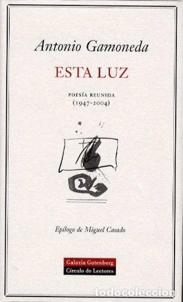 Libros: Esta luz- 9788481091403